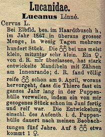 ganze Seite anschauen